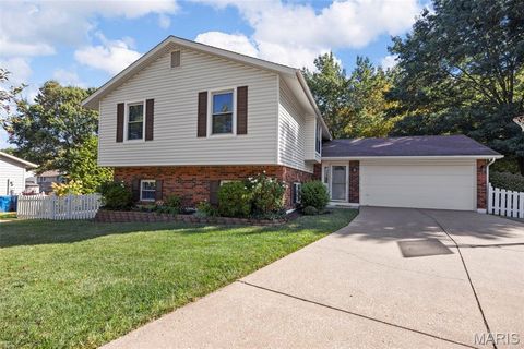 1604 Dahlia Court St Charles MO 63303