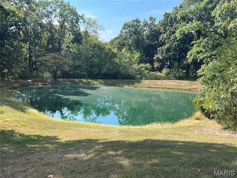 Tiny photo for 838 Deer Run Road, Elsberry, MO 63343 (MLS # 25068349)