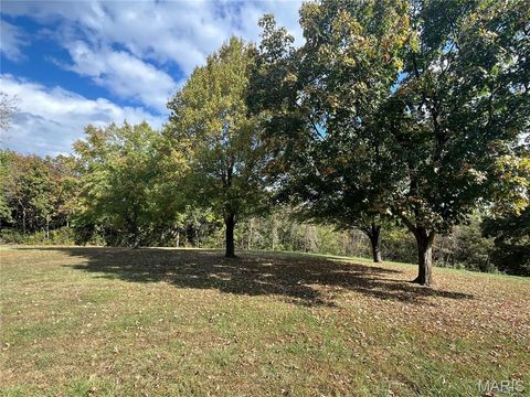 Tiny photo for 838 Deer Run Road, Elsberry, MO 63343 (MLS # 25068349)