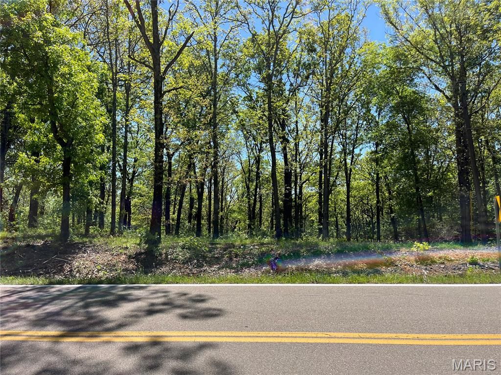 Photo of TBD Lobo Drive, Festus, MO 63028 (MLS # 26024127)