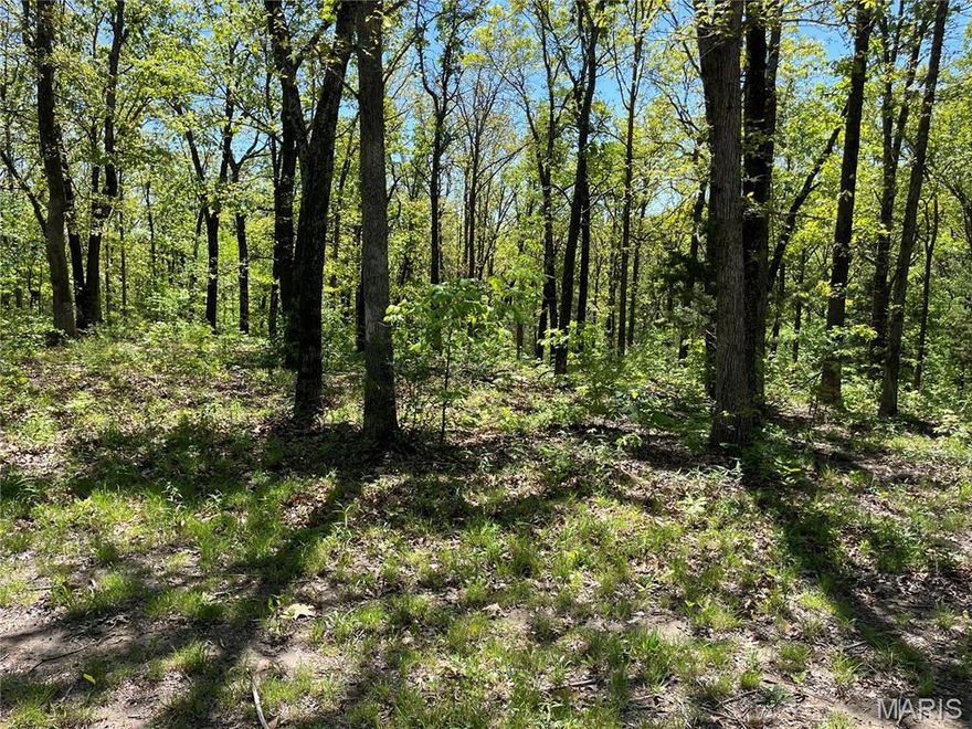 Looking for that perfect spot to build your dream home? This almost 7 acre parcel is located just off of State Road TT in the sought after Jefferson R-7 public school district. There is public water available from the access off of Hwy TT and there is also access from Lobo Dr. in the Single T Ranch subdivision giving you multiple options for building locations. The sloping terrain makes for beautiful locations for a walkout basement and the wooded lots give you plenty of privacy. This property lays such that you could put in your own private pond. Come and take a look and check the many possibilities that this unique property provides. There isn't much land like this left in the area especially with such a great location. Just minutes from I-55 and all of the restaurants and shopping available in the Festus/Crystal City area. Make your appointment today.