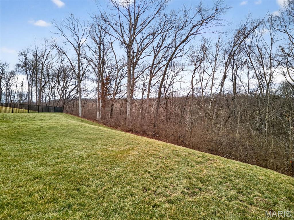 Streets Of Caledonia #4 - Residential