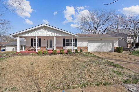Photo of 215 Straightoak Court, Ballwin, MO 63021 (MLS # 26016519)