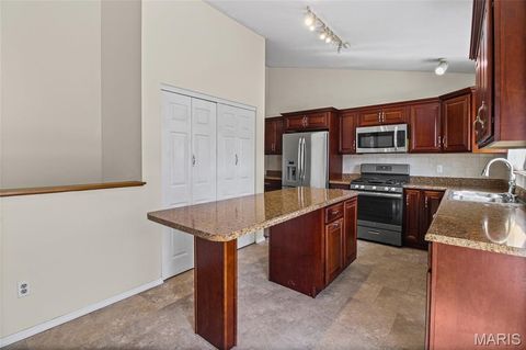 Tiny photo for 804 Shady Ridge Court, St Louis, MO 63125 (MLS # 26018598)