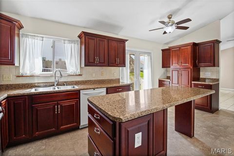 Tiny photo for 804 Shady Ridge Court, St Louis, MO 63125 (MLS # 26018598)