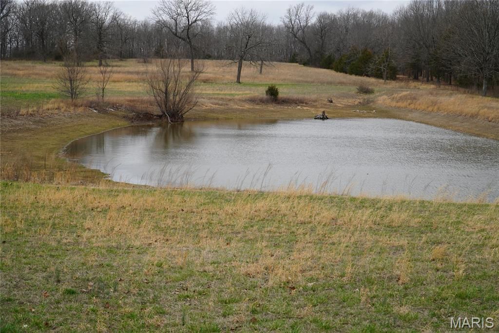 Photo of 18143 Oasis Drive, Phillipsburg, MO 65722 (MLS # 26012160)