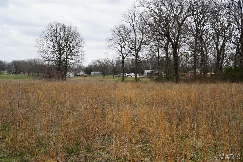 Photo of 18143 Oasis Drive, Phillipsburg, MO 65722 (MLS # 26012160)