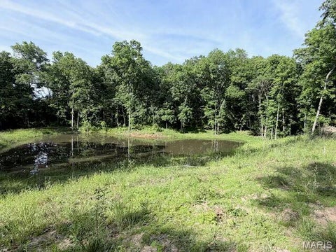 Photo of 16 Turning Leaf Lane, Foley, MO 63347 (MLS # 26051851)