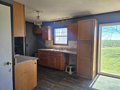 Tiny photo for 21850 S Sue Drive, Malden, MO 63863 (MLS # 26015443)