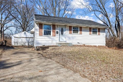 Photo of 10605 Dunkeld Circle, St Louis, MO 63137 (MLS # 26005868)