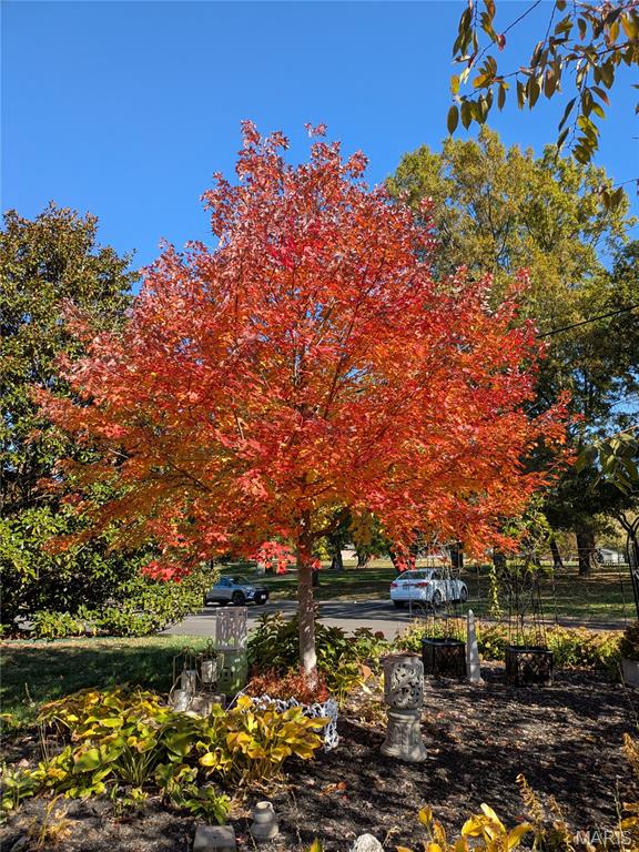 Manhattan Heights - Residential