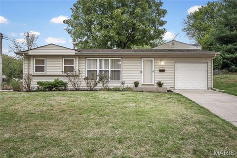 1572 Ville Rosa Lane Hazelwood MO 63042