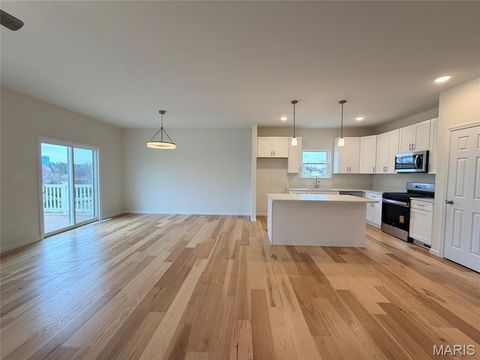 Tiny photo for 154 Pellins Court #154 STB, Washington, MO 63090 (MLS # 26018577)