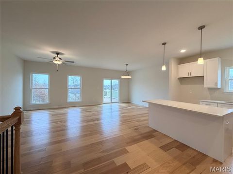 Tiny photo for 154 Pellins Court #154 STB, Washington, MO 63090 (MLS # 26018577)