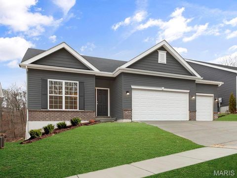 18409 Boone Ridge Manor Drive Truesdale MO 63380