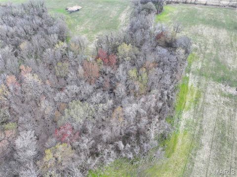 Tiny photo for Off US Hwy 67, Neelyville, MO 63954 (MLS # 26024962)