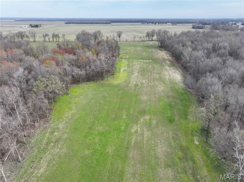 Tiny photo for Off US Hwy 67, Neelyville, MO 63954 (MLS # 26024962)