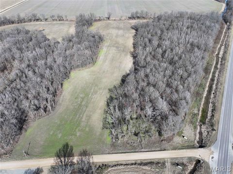 Tiny photo for Off US Hwy 67, Neelyville, MO 63954 (MLS # 26024962)