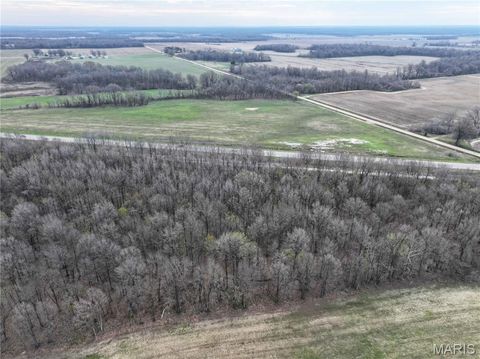 Tiny photo for Off US Hwy 67, Neelyville, MO 63954 (MLS # 26024962)