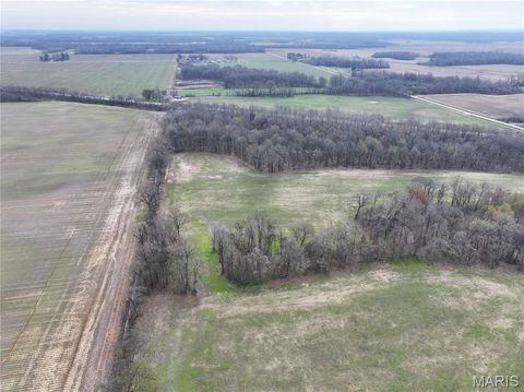 Tiny photo for Off US Hwy 67, Neelyville, MO 63954 (MLS # 26024962)
