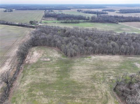 Tiny photo for Off US Hwy 67, Neelyville, MO 63954 (MLS # 26024962)