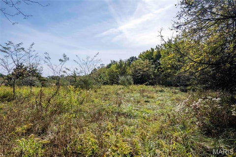 Tiny photo for 29750 Oriole Road, Vandalia, MO 63382 (MLS # 26066794)