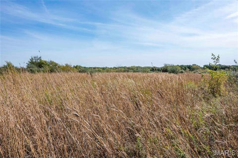 Tiny photo for 29750 Oriole Road, Vandalia, MO 63382 (MLS # 26066794)