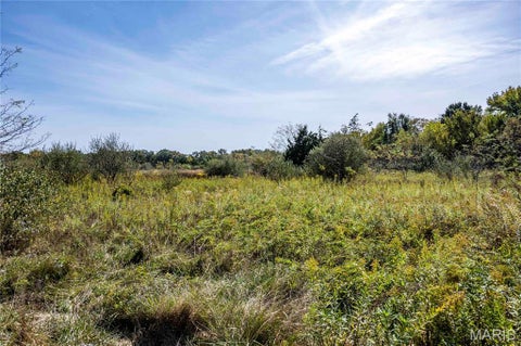 Tiny photo for 29750 Oriole Road, Vandalia, MO 63382 (MLS # 26066794)