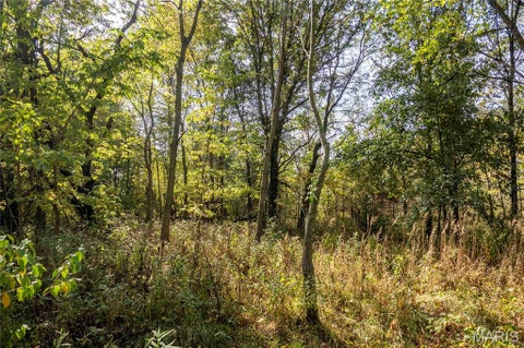 Tiny photo for 29750 Oriole Road, Vandalia, MO 63382 (MLS # 26066794)
