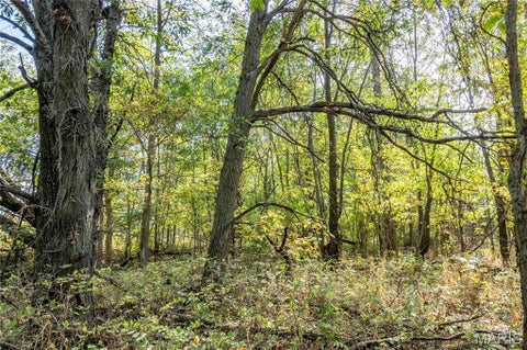 Tiny photo for 29750 Oriole Road, Vandalia, MO 63382 (MLS # 26066794)