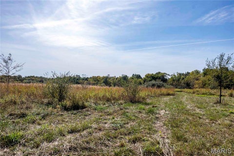 Tiny photo for 29750 Oriole Road, Vandalia, MO 63382 (MLS # 26066794)