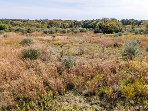 Tiny photo for 29750 Oriole Road, Vandalia, MO 63382 (MLS # 26066794)