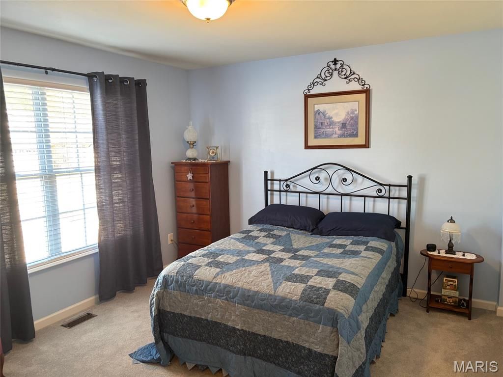 Photo of 20 Parkville Lane, Festus, MO 63028 (MLS # 26020805)