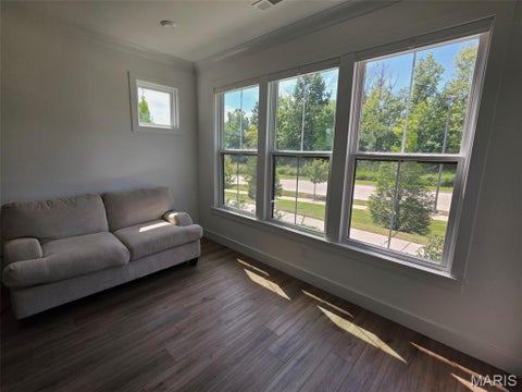 Tiny photo for 325 Mistflower Court, Chesterfield, MO 63005 (MLS # 26056152)