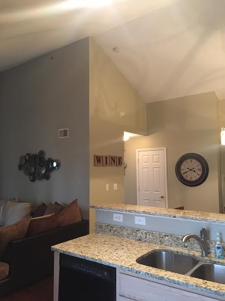 1117 Arbor Creek Drive 3B