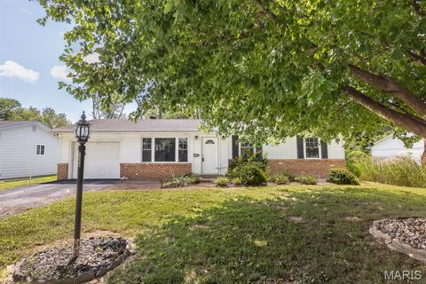 Photo of 1308 Veile Drive, Belleville, IL 62220 (MLS # 26046799)