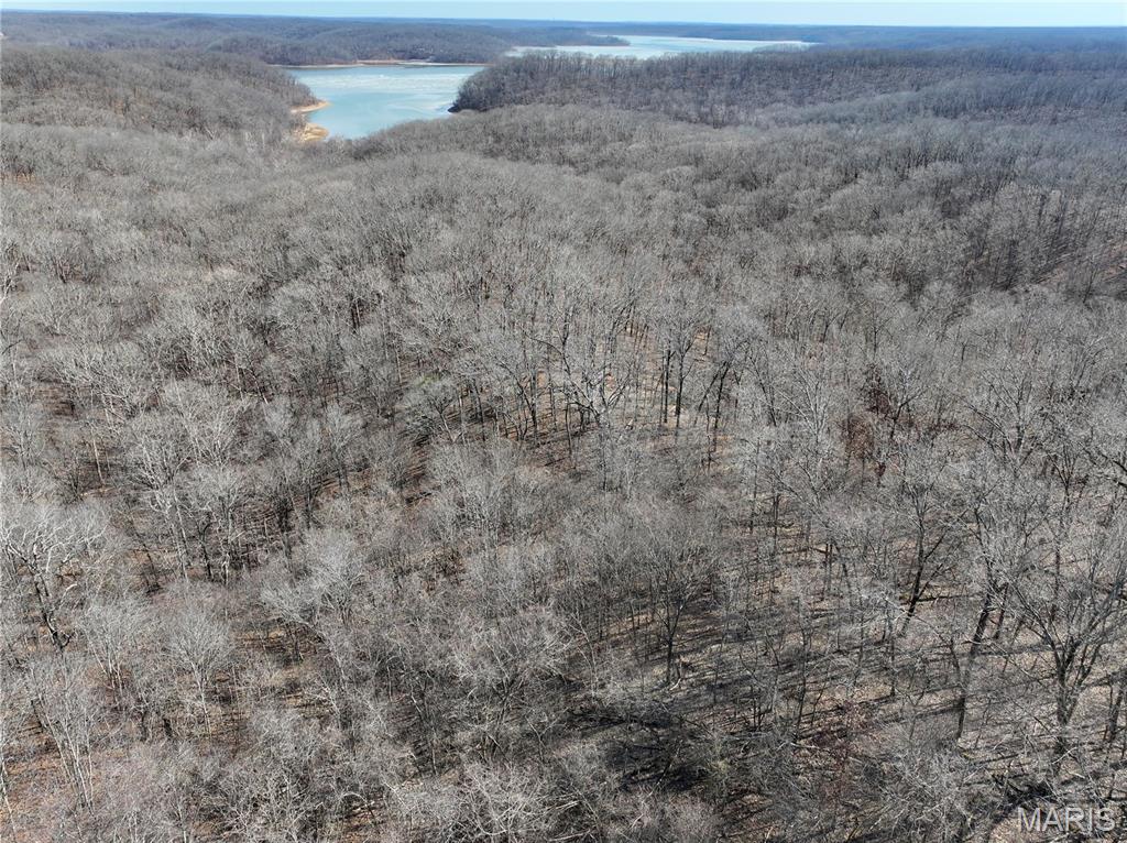 Lakeview Forest - Residential