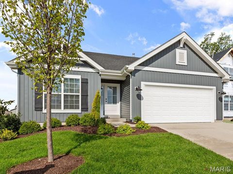 3037 Yellow Birch Court Imperial MO 63052