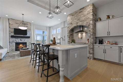 Tiny photo for 509 Elm Park Court, Dardenne Prairie, MO 63368 (MLS # 26069177)