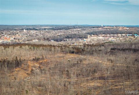Tiny photo for 3 Mill Street, Potosi, MO 63664 (MLS # 26030823)