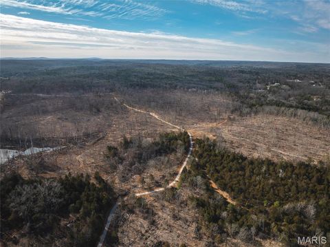 Tiny photo for 3 Mill Street, Potosi, MO 63664 (MLS # 26030823)