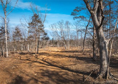 Tiny photo for 3 Mill Street, Potosi, MO 63664 (MLS # 26030823)