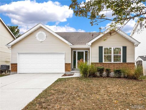 2793 Brookmeadow Drive Belleville IL 62221