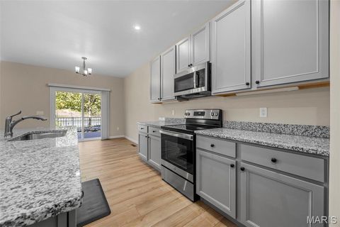 Tiny photo for 719 Myatt Drive, Wentzville, MO 63385 (MLS # 25067628)