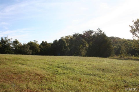 Tiny photo for 14098 Charter Church Road, De Soto, MO 63020 (MLS # 26057414)