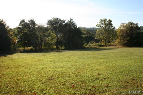 Tiny photo for 14098 Charter Church Road, De Soto, MO 63020 (MLS # 26057414)
