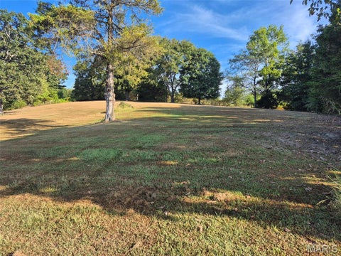 Tiny photo for 14098 Charter Church Road, De Soto, MO 63020 (MLS # 26057414)