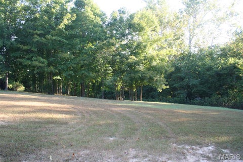 Tiny photo for 14098 Charter Church Road, De Soto, MO 63020 (MLS # 26057414)