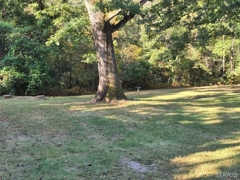 Tiny photo for 14098 Charter Church Road, De Soto, MO 63020 (MLS # 26057414)