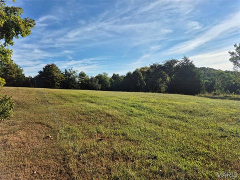 Tiny photo for 14098 Charter Church Road, De Soto, MO 63020 (MLS # 26057414)